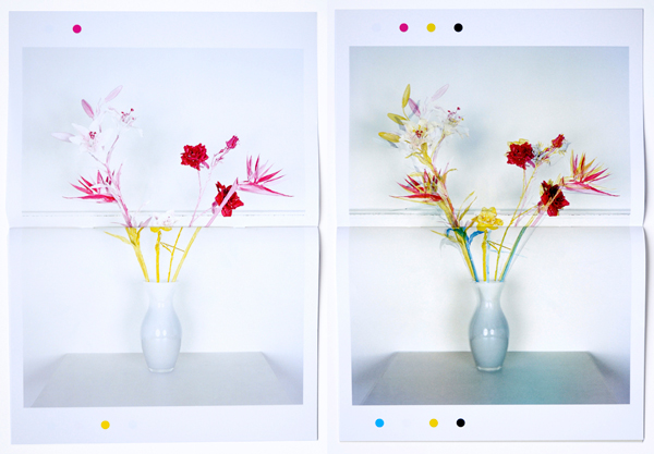 Jaap Scheeren: Fake Flowers in Full Colour preview