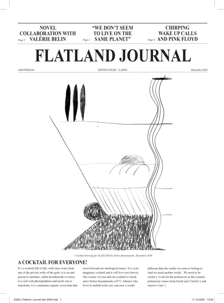 Flatland Journal VIII preview